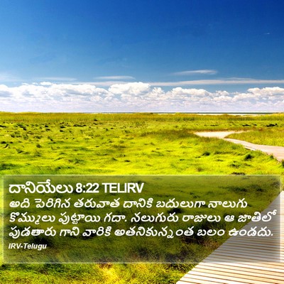 దానియేలు 8:22 TELIRV Bible Verse Image