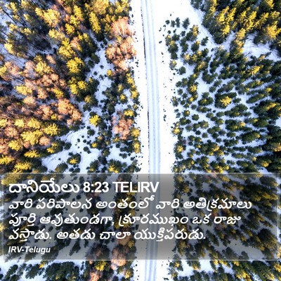 దానియేలు 8:23 TELIRV Bible Verse Image