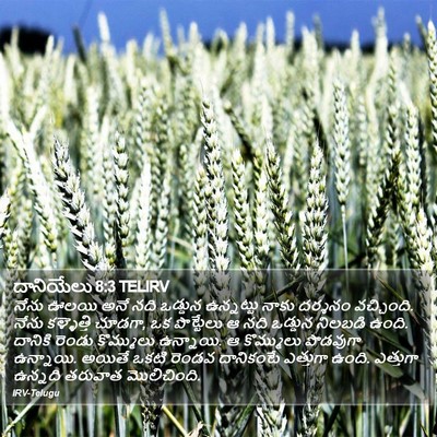 దానియేలు 8:3 TELIRV Bible Verse Image