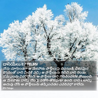 దానియేలు 8:7 TELIRV Bible Verse Image