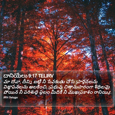 దానియేలు 9:17 TELIRV Bible Verse Image