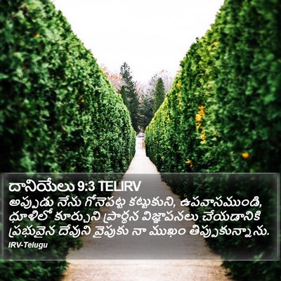 దానియేలు 9:3 TELIRV Bible Verse Image