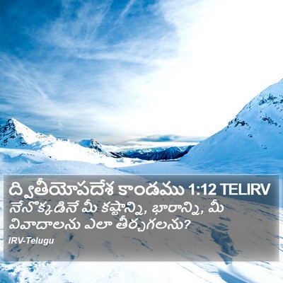 ద్వితీయోపదేశ కాండము 1:12 TELIRV Bible Verse Image