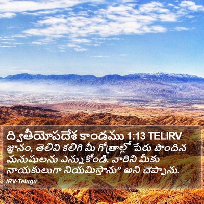 ద్వితీయోపదేశ కాండము 1:13 TELIRV Bible Verse Image