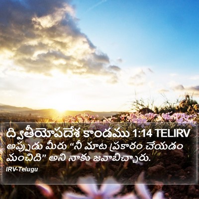 ద్వితీయోపదేశ కాండము 1:14 TELIRV Bible Verse Image