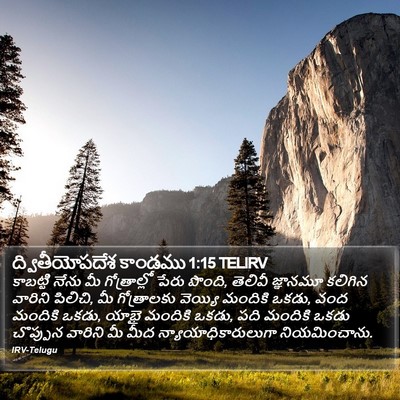 ద్వితీయోపదేశ కాండము 1:15 TELIRV Bible Verse Image