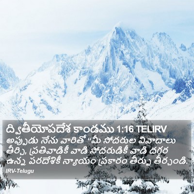 ద్వితీయోపదేశ కాండము 1:16 TELIRV Bible Verse Image