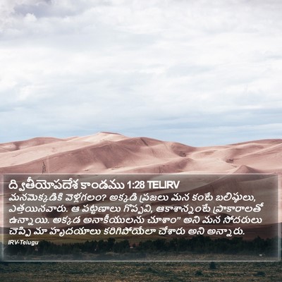 ద్వితీయోపదేశ కాండము 1:28 TELIRV Bible Verse Image