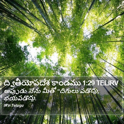 ద్వితీయోపదేశ కాండము 1:29 TELIRV Bible Verse Image