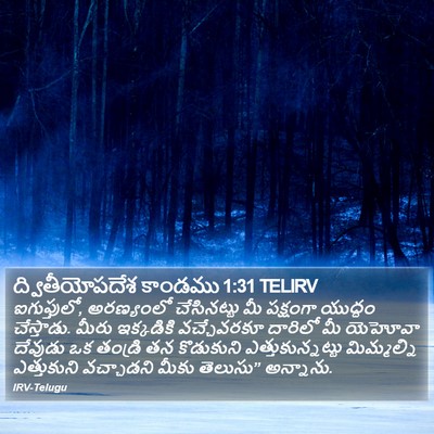 ద్వితీయోపదేశ కాండము 1:31 TELIRV Bible Verse Image