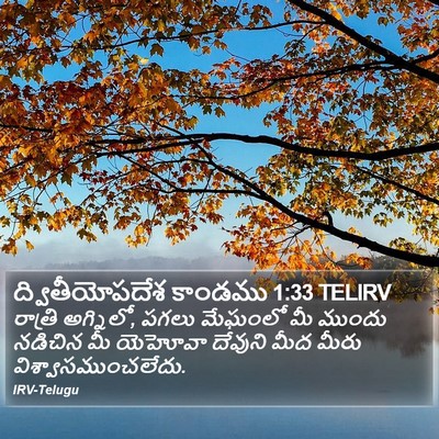 ద్వితీయోపదేశ కాండము 1:33 TELIRV Bible Verse Image