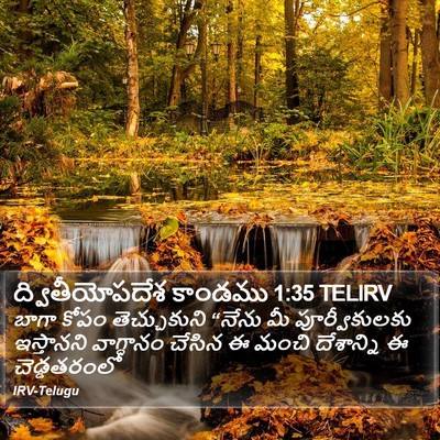 ద్వితీయోపదేశ కాండము 1:35 TELIRV Bible Verse Image