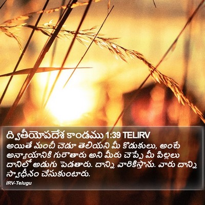 ద్వితీయోపదేశ కాండము 1:39 TELIRV Bible Verse Image