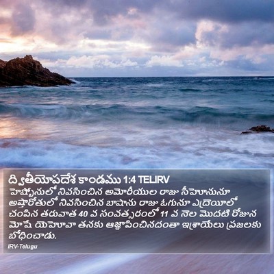 ద్వితీయోపదేశ కాండము 1:4 TELIRV Bible Verse Image
