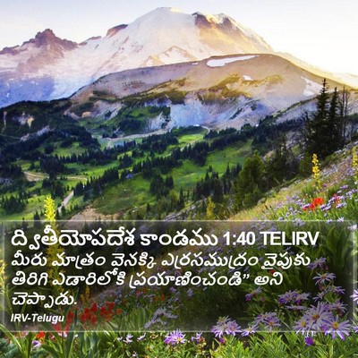 ద్వితీయోపదేశ కాండము 1:40 TELIRV Bible Verse Image
