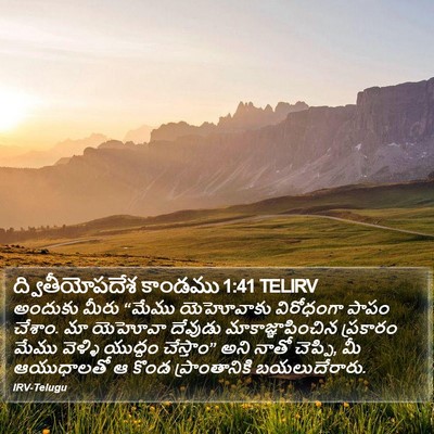 ద్వితీయోపదేశ కాండము 1:41 TELIRV Bible Verse Image