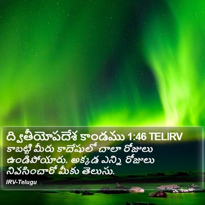 ద్వితీయోపదేశ కాండము 1:46 TELIRV Bible Verse Image