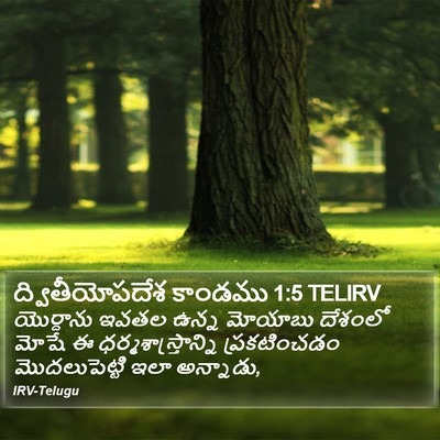 ద్వితీయోపదేశ కాండము 1:5 TELIRV Bible Verse Image