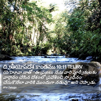 ద్వితీయోపదేశ కాండము 10:11 TELIRV Bible Verse Image