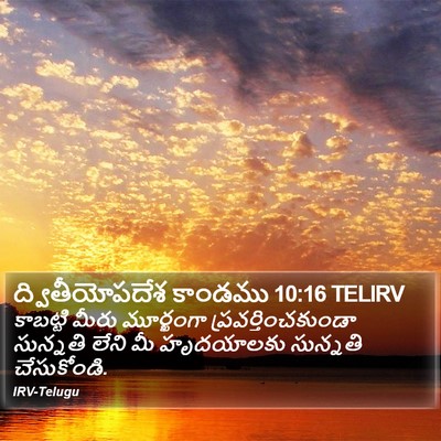 ద్వితీయోపదేశ కాండము 10:16 TELIRV Bible Verse Image