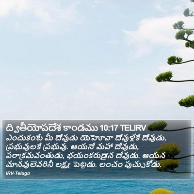ద్వితీయోపదేశ కాండము 10:17 TELIRV Bible Verse Image