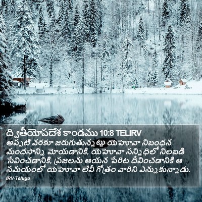 ద్వితీయోపదేశ కాండము 10:8 TELIRV Bible Verse Image
