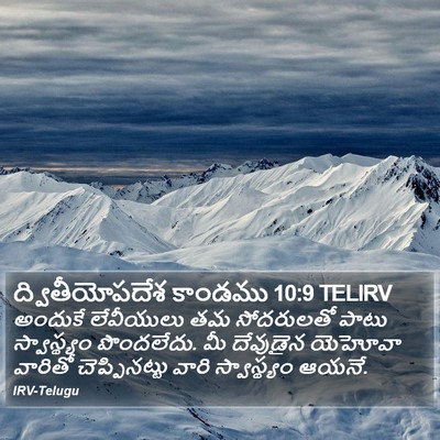 ద్వితీయోపదేశ కాండము 10:9 TELIRV Bible Verse Image