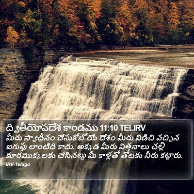 ద్వితీయోపదేశ కాండము 11:10 TELIRV Bible Verse Image