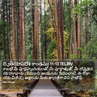 ద్వితీయోపదేశ కాండము 11:13 TELIRV Bible Verse Image