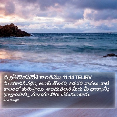 ద్వితీయోపదేశ కాండము 11:14 TELIRV Bible Verse Image