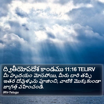 ద్వితీయోపదేశ కాండము 11:16 TELIRV Bible Verse Image