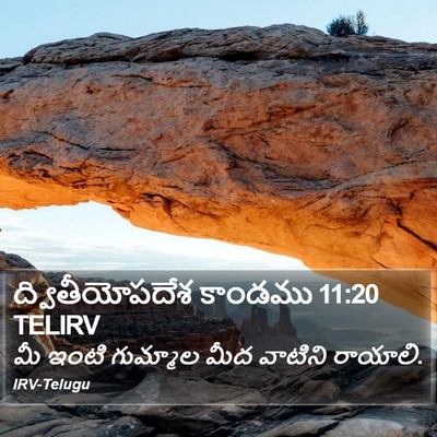 ద్వితీయోపదేశ కాండము 11:20 TELIRV Bible Verse Image