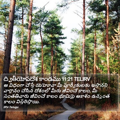 ద్వితీయోపదేశ కాండము 11:21 TELIRV Bible Verse Image