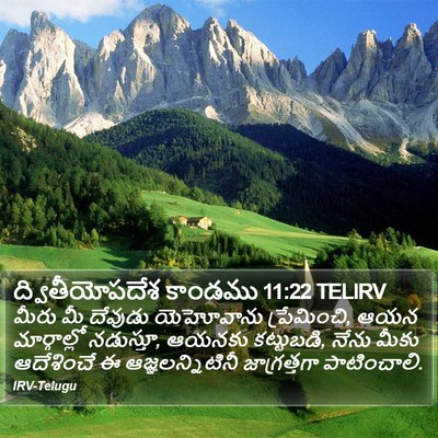 ద్వితీయోపదేశ కాండము 11:22 TELIRV Bible Verse Image