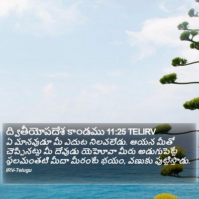ద్వితీయోపదేశ కాండము 11:25 TELIRV Bible Verse Image