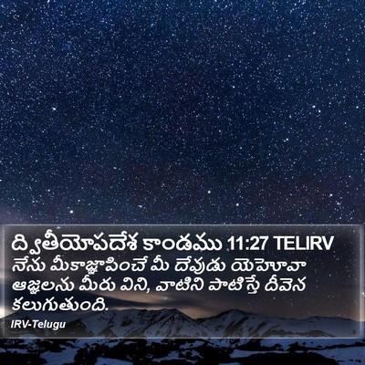 ద్వితీయోపదేశ కాండము 11:27 TELIRV Bible Verse Image