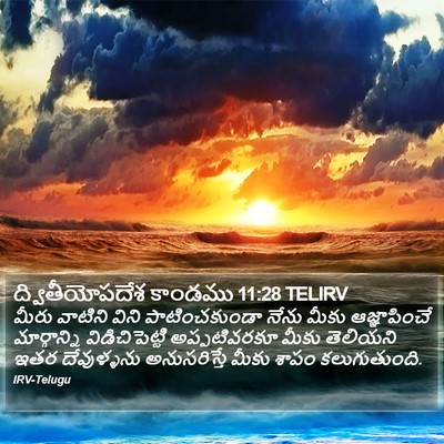 ద్వితీయోపదేశ కాండము 11:28 TELIRV Bible Verse Image