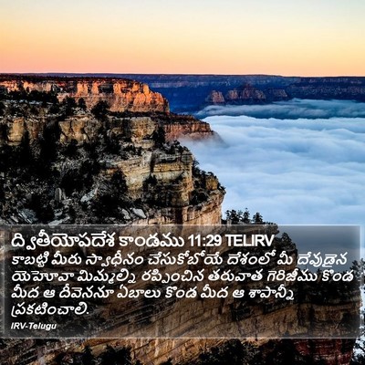 ద్వితీయోపదేశ కాండము 11:29 TELIRV Bible Verse Image