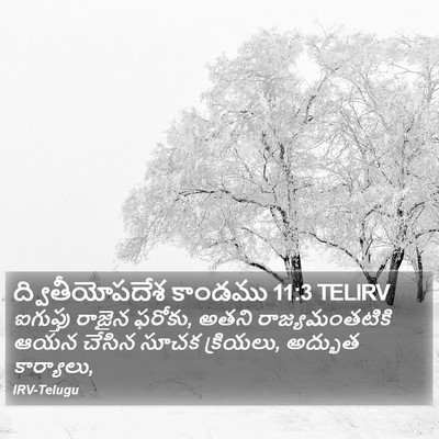 ద్వితీయోపదేశ కాండము 11:3 TELIRV Bible Verse Image
