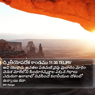 ద్వితీయోపదేశ కాండము 11:30 TELIRV Bible Verse Image