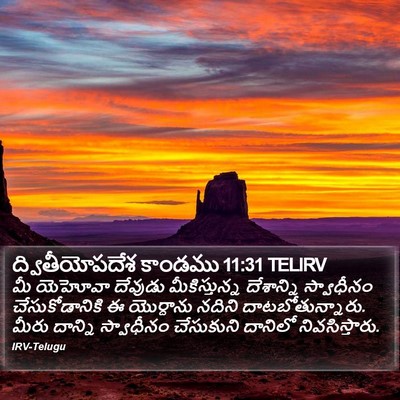 ద్వితీయోపదేశ కాండము 11:31 TELIRV Bible Verse Image