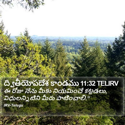 ద్వితీయోపదేశ కాండము 11:32 TELIRV Bible Verse Image