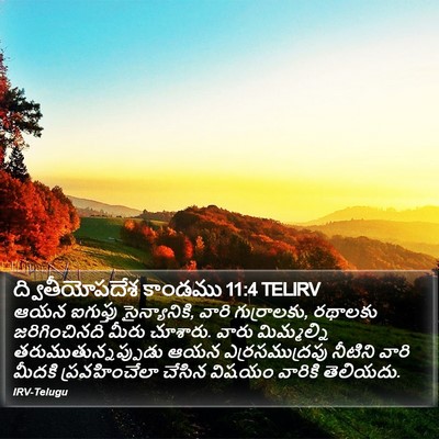 ద్వితీయోపదేశ కాండము 11:4 TELIRV Bible Verse Image
