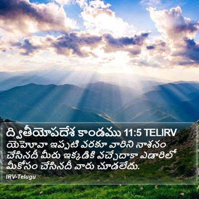 ద్వితీయోపదేశ కాండము 11:5 TELIRV Bible Verse Image