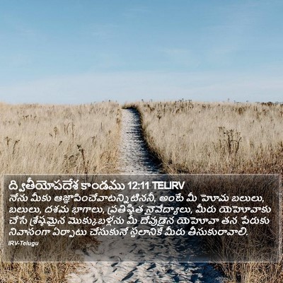 ద్వితీయోపదేశ కాండము 12:11 TELIRV Bible Verse Image