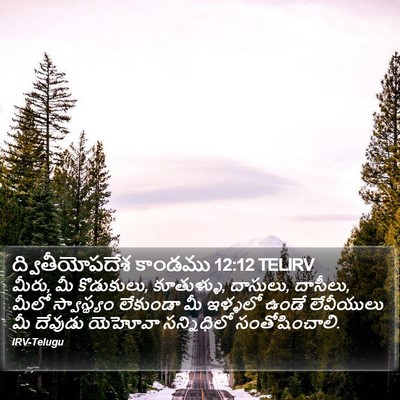 ద్వితీయోపదేశ కాండము 12:12 TELIRV Bible Verse Image