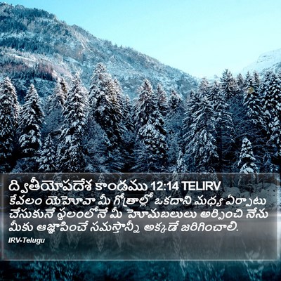 ద్వితీయోపదేశ కాండము 12:14 TELIRV Bible Verse Image