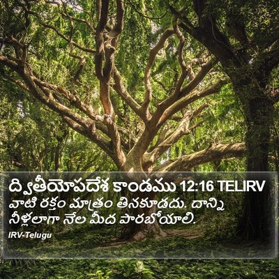 ద్వితీయోపదేశ కాండము 12:16 TELIRV Bible Verse Image