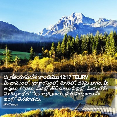 ద్వితీయోపదేశ కాండము 12:17 TELIRV Bible Verse Image