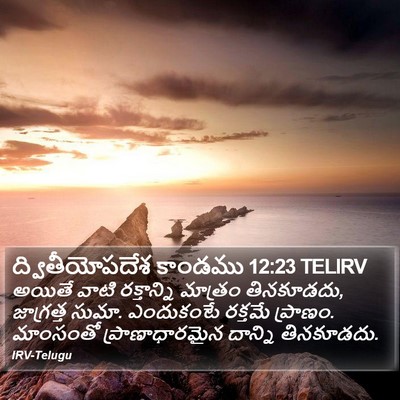 ద్వితీయోపదేశ కాండము 12:23 TELIRV Bible Verse Image